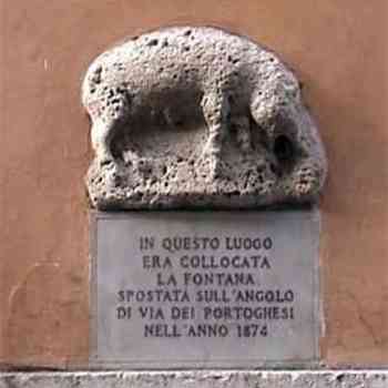 Click para ampliar. Pulsa en el nombre para ver la ficha. Corocotta fig. 4